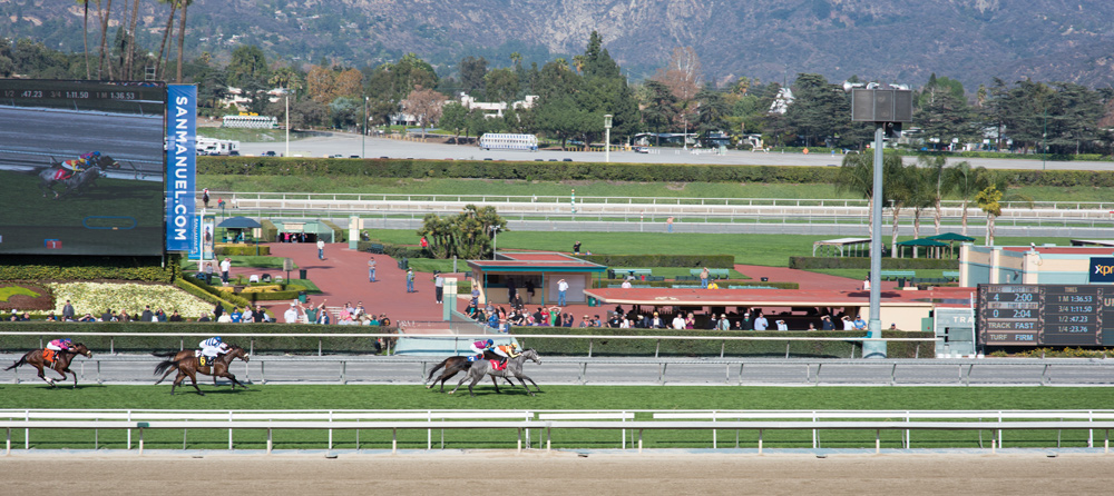Horse Racing 