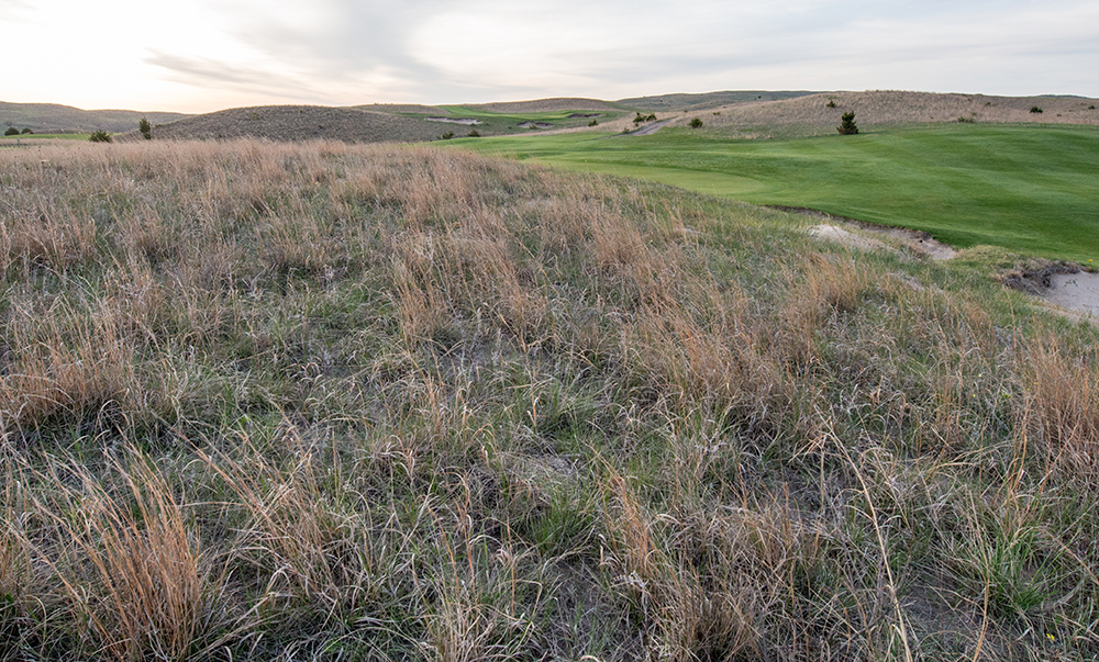 Doak Course, Dismal River