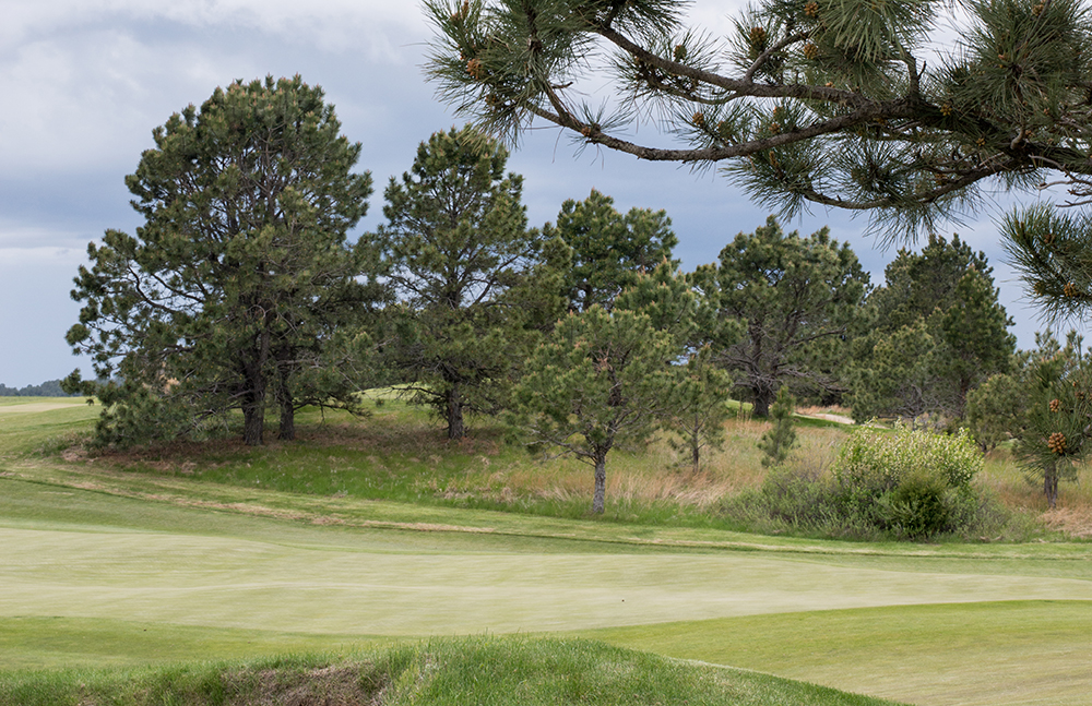 Pines Course