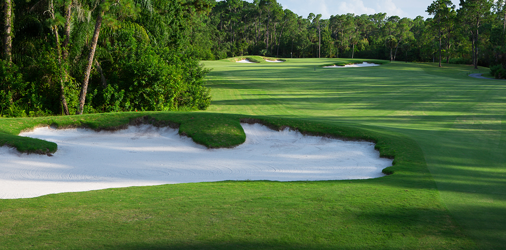 Palm Course