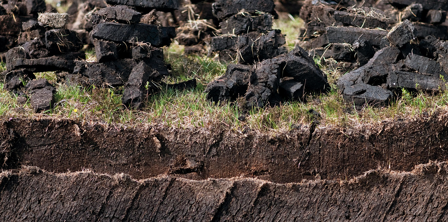 Islay’s natural peat