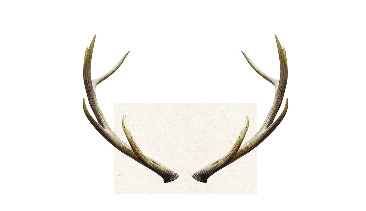 centered image